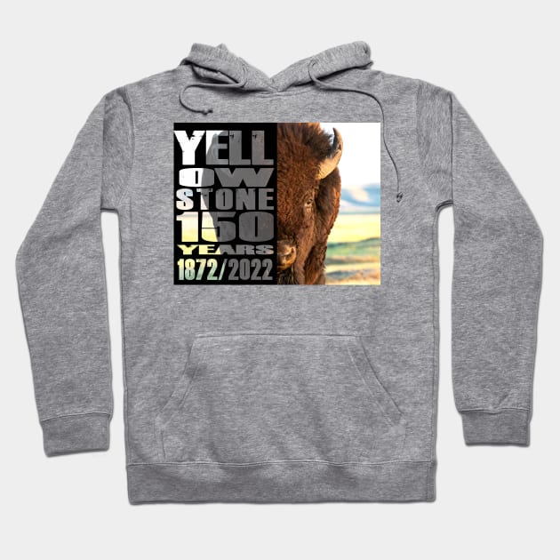 Bison in Nature Yellowstone 150 Year Celebration - Yellowstone 140 years Hoodie by Smyrna Buffalo